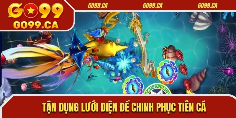 Tận dụng lưới điện để chinh phục tiên cá